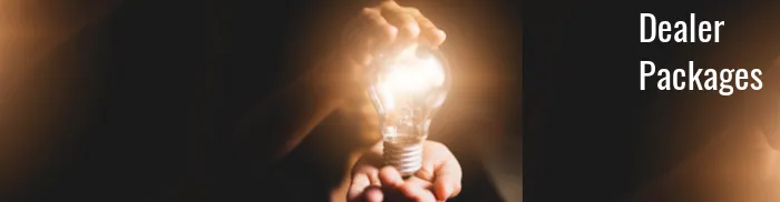 27605 teeth whitening business overview