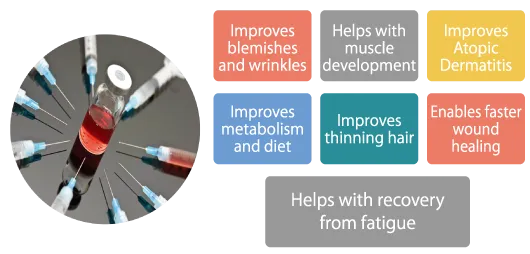 27687 sun protection importance