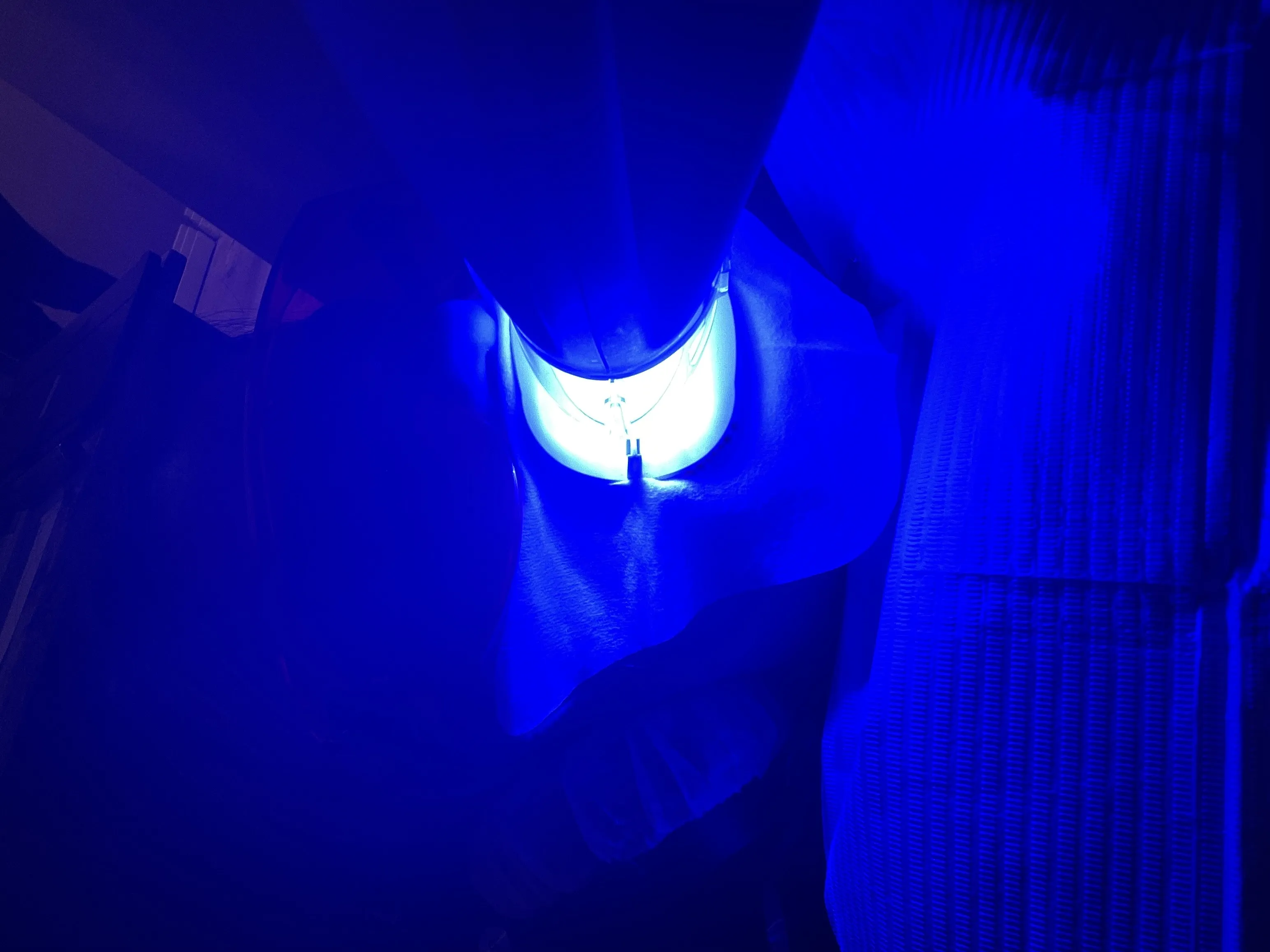 27872 caliwhite application